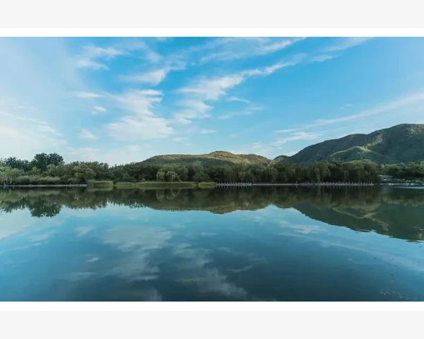 中医养生：脾胃调养餐 呵护健康