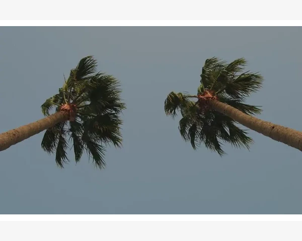 B2B B2C C2C O2O四种模式的区别与选择
